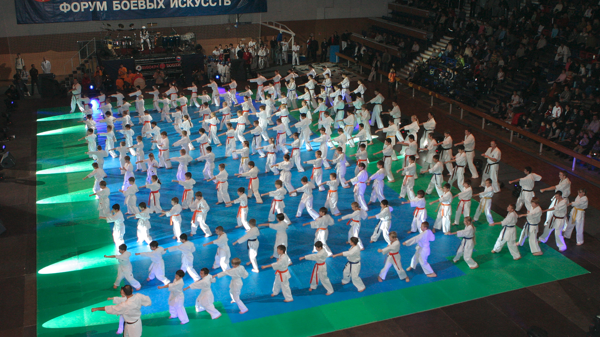 Российский Союз боевых искусств